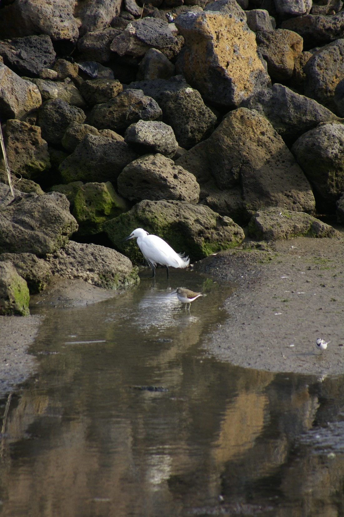 __igp6694.jpg
