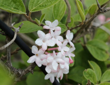  width=100%></a></td></tr><tr><td height=1 bgcolor=#cccccc></td></tr><tr><td bgcolor=#f3f3f3 align=center height=22><a href=