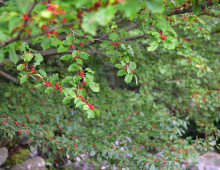  width=100%></a></td></tr><tr><td height=1 bgcolor=#cccccc></td></tr><tr><td bgcolor=#f3f3f3 align=center height=22><a href=