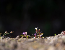  width=100%></a></td></tr><tr><td height=1 bgcolor=#cccccc></td></tr><tr><td bgcolor=#f3f3f3 align=center height=22><a href=