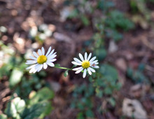  width=100%></a></td></tr><tr><td height=1 bgcolor=#cccccc></td></tr><tr><td bgcolor=#f3f3f3 align=center height=22><a href=