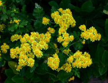  width=100%></a></td></tr><tr><td height=1 bgcolor=#cccccc></td></tr><tr><td bgcolor=#f3f3f3 align=center height=22><a href=