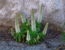  width=100%></a></td></tr><tr><td height=1 bgcolor=#cccccc></td></tr><tr><td bgcolor=#f3f3f3 align=center height=22><a href=