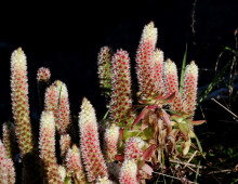  width=100%></a></td></tr><tr><td height=1 bgcolor=#cccccc></td></tr><tr><td bgcolor=#f3f3f3 align=center height=22><a href=