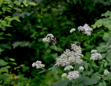  width=100%></a></td></tr><tr><td height=1 bgcolor=#cccccc></td></tr><tr><td bgcolor=#f3f3f3 align=center height=22><a href=