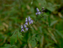  width=100%></a></td></tr><tr><td height=1 bgcolor=#cccccc></td></tr><tr><td bgcolor=#f3f3f3 align=center height=22><a href=